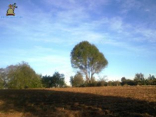 Santa María Magdalena Cahuacán