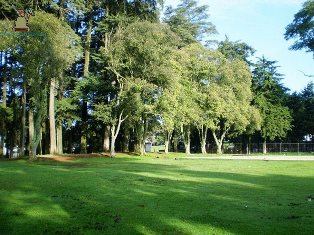 Santa María Magdalena Cahuacán