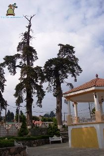 Santa María Magdalena Cahuacán