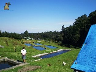 Santa María Magdalena Cahuacán