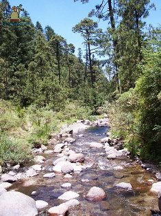 Santa María Magdalena Cahuacán