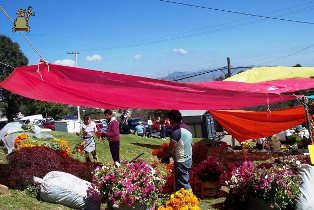 Santa María Magdalena Cahuacán