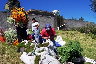 Santa María Magdalena Cahuacán