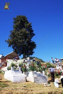 Santa María Magdalena Cahuacán