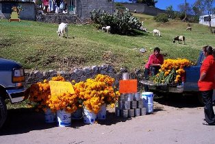 Santa María Magdalena Cahuacán