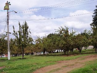 Santa María Magdalena Cahuacán