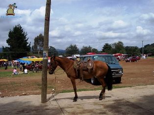 Santa María Magdalena Cahuacán