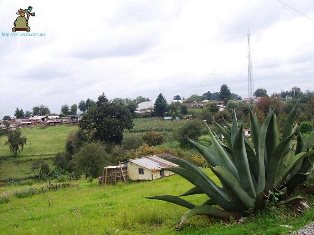 Santa María Magdalena Cahuacán