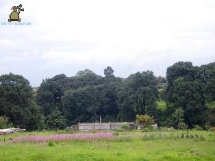 Santa María Magdalena Cahuacán