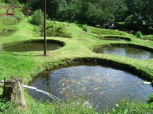 Santa María Magdalena Cahuacán