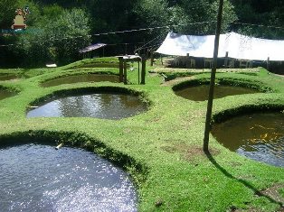 Santa María Magdalena Cahuacán