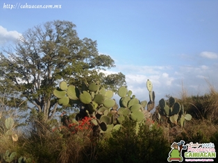 Santa María Magdalena Cahuacán